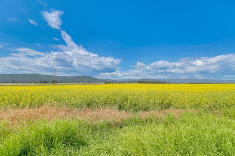 Remodeled Kalispell Farmhouse with Mountain Views House in Kalispell