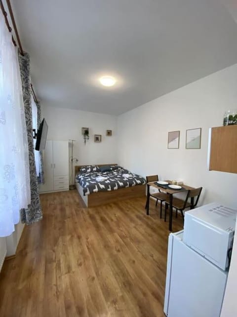Bed, Kitchen or kitchenette, Living room, Photo of the whole room, Seating area, Dining area, Bedroom