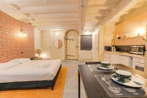 Industrial-style studio with bathtub, Vieux-Lyon Apartment in Lyon