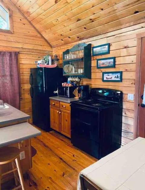 The Loft at Bear Mountain log cabins Cabin in Carroll County