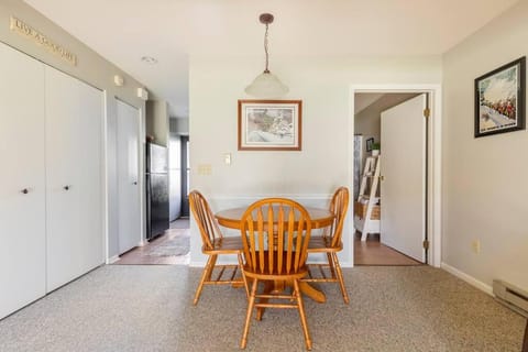 SKIING, HIKING, VILLAGE OF EVILLE MTN ESCAPE Apartment in Ellicottville