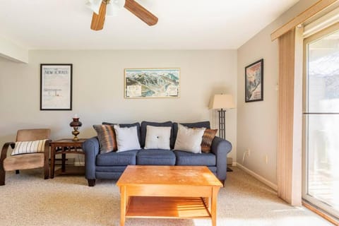 SKIING, HIKING, VILLAGE OF EVILLE MTN ESCAPE Apartment in Ellicottville