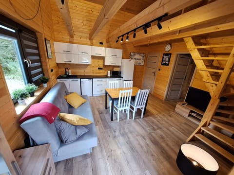 Kitchen or kitchenette, Living room, Seating area, Dining area, minibar, pet friendly, stove