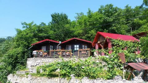 Property building, Natural landscape, Summer