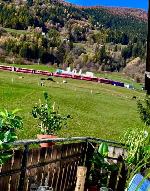 window on the green Apartment in Province of Brescia