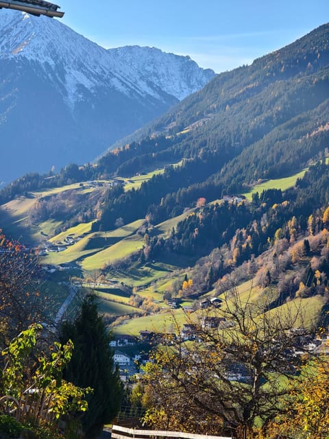 Bergbauernhof-Grinzens Apartment in Tyrol