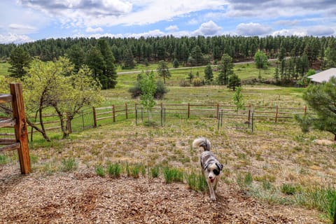 128 Capitan Circle House in Colorado