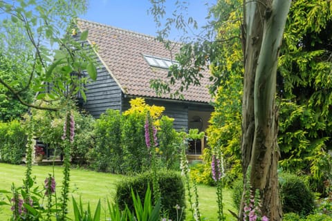 Property building, Garden, Garden view