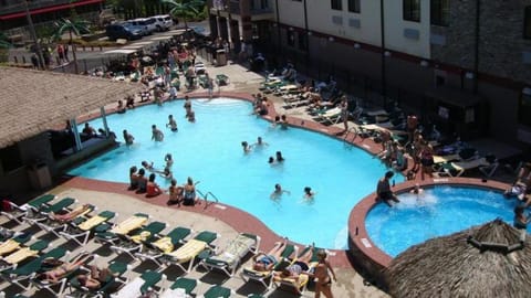 Day, People, Pool view, Swimming pool, group of guests