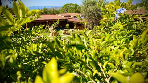 Facade/entrance, Day, Natural landscape, Garden