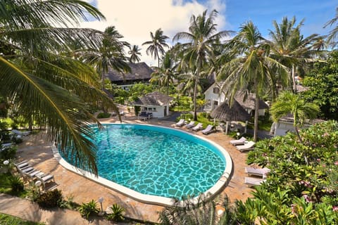 Garden, Pool view, Swimming pool
