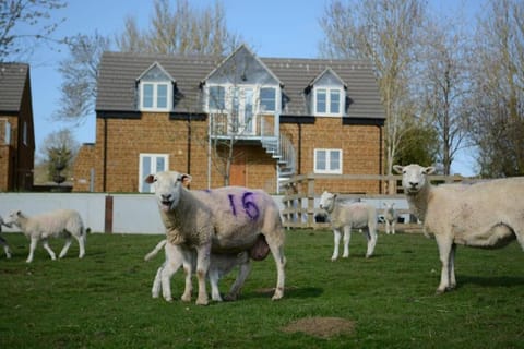Field View House in Oakham