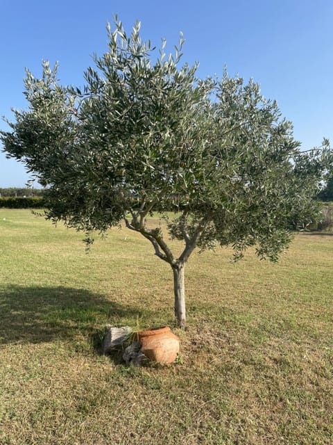 THE RANCH Apartment 3 Capalbio Apartment in Lazio