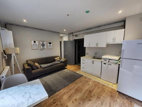 Kitchen or kitchenette, Living room, stove