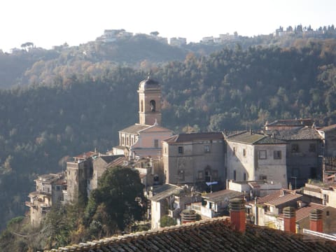 Landmark view