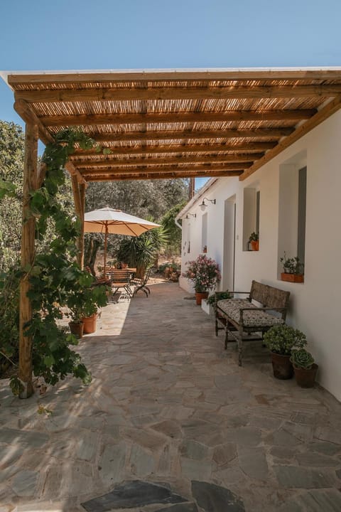 Patio, Off site