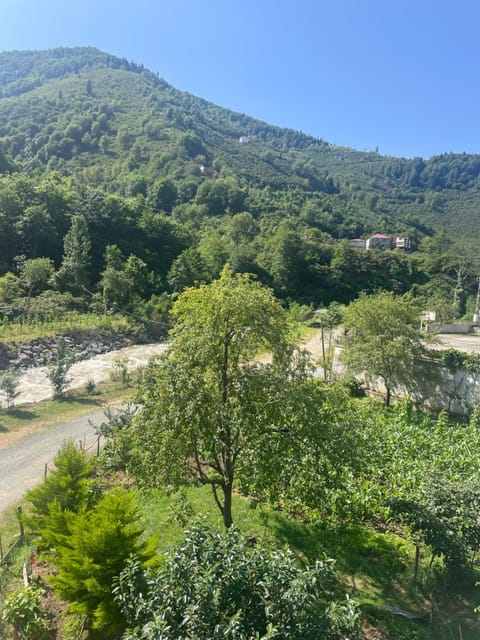 Spring, Day, Natural landscape, Mountain view