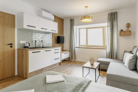 Bed, TV and multimedia, Coffee/tea facilities, Kitchen or kitchenette, Living room, Photo of the whole room, Seating area, Bedroom, minibar, stove, towels, air conditioner