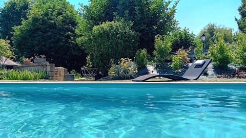Garden, Garden view, Pool view, Swimming pool, Swimming pool, sunbed