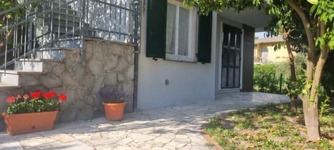 Property building, Garden