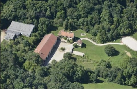 Property building, Natural landscape, Bird's eye view, Garden