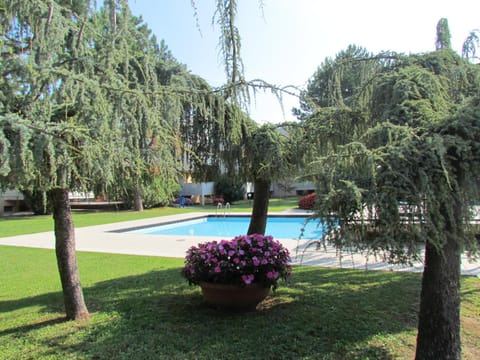 Garden, Garden, Swimming pool