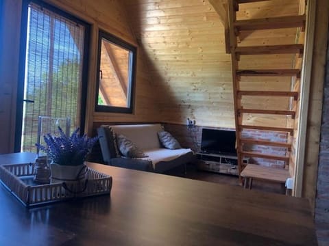 Koliba Joca House in Serbia