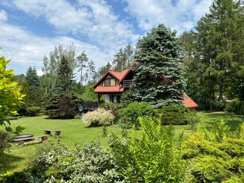 Property building, Garden, View (from property/room), Garden view