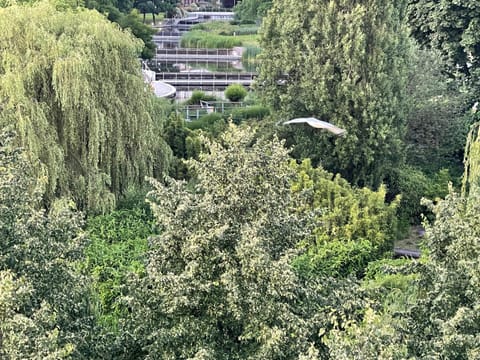 Spring, Day, Natural landscape, Bird's eye view, Lake view