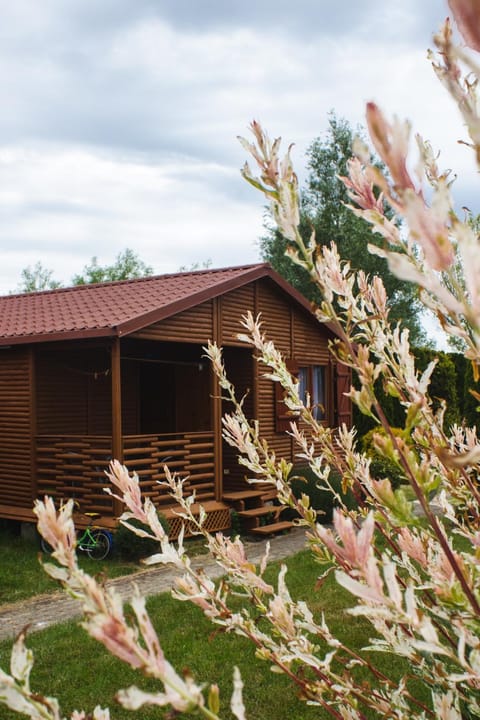 Property building, Spring, Day, Garden, Garden view