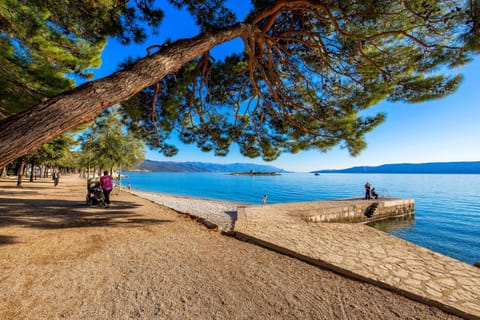 Spring, Day, Beach