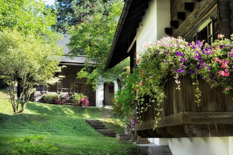 Property building, Summer, Garden