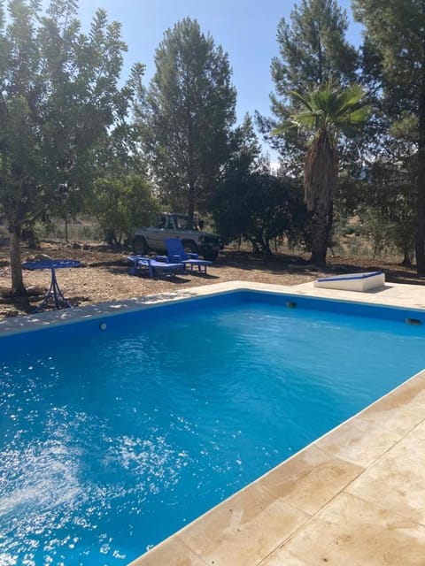 Swimming pool, sunbed