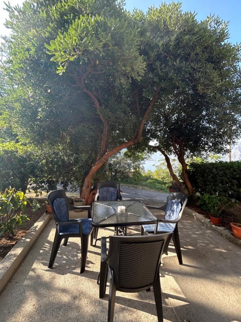 Garden, Seating area, Garden view