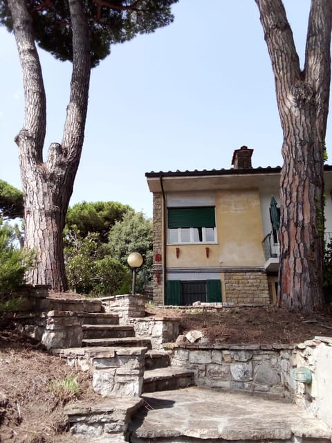 Property building, Day