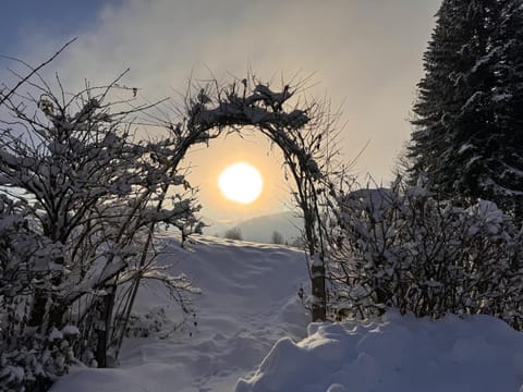 Day, Natural landscape, Winter