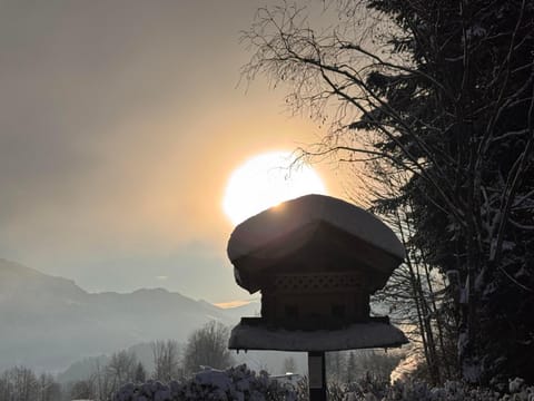 Day, Natural landscape, Winter