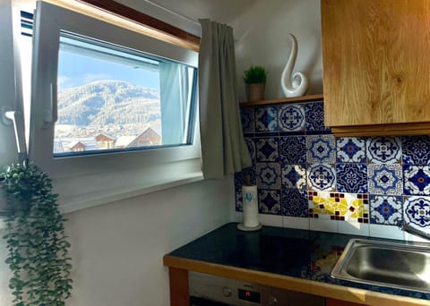 Kitchen or kitchenette, Mountain view, pet friendly, stove