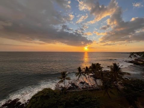 Kona Alii 705 House in Holualoa