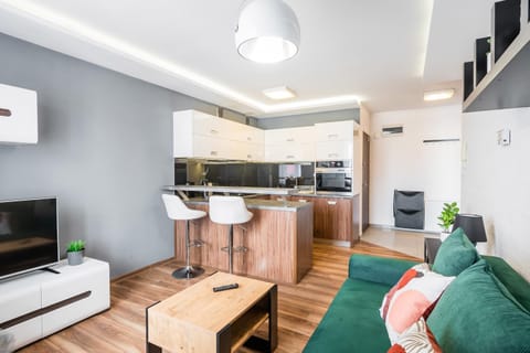 TV and multimedia, Kitchen or kitchenette, Living room, Seating area