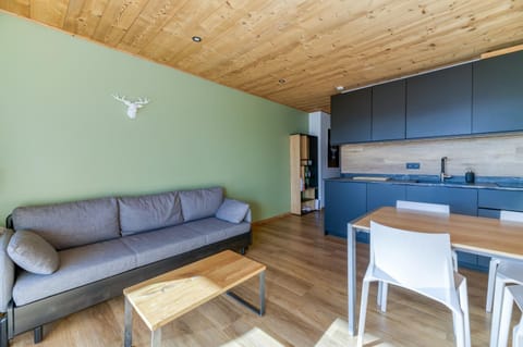 Kitchen or kitchenette, Living room, Dining area