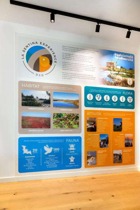 La Sentina Experience Bed and Breakfast in San Benedetto del Tronto