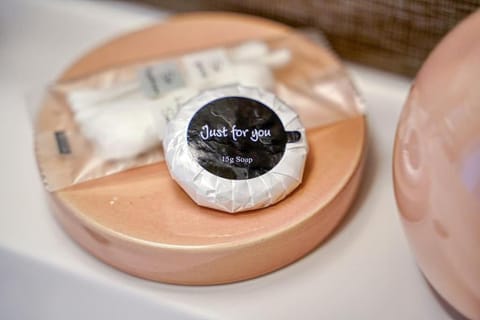 Saphir T2 proche Paris Apartment in Chevilly Larue