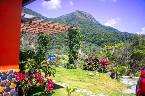Garden, Mountain view