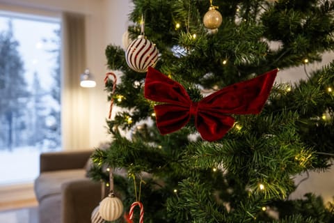 Villa Rainbow Villa in Rovaniemi