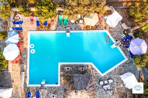 People, Bird's eye view, Swimming pool, Swimming pool