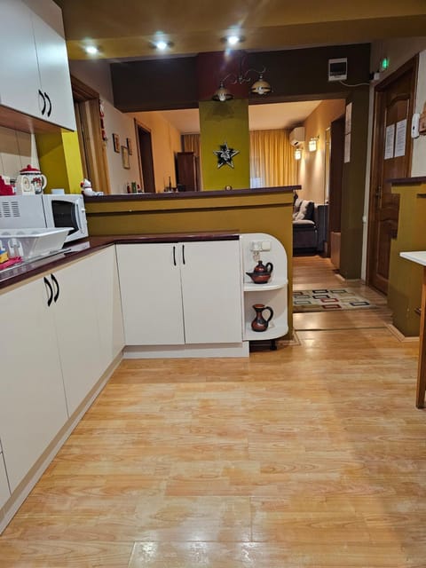 Apartament David Deva - 2 dormitoare & 1 living Vacation rental in Serbia