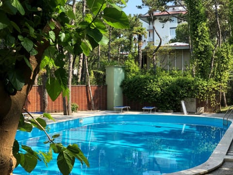 Swimming pool, sunbed