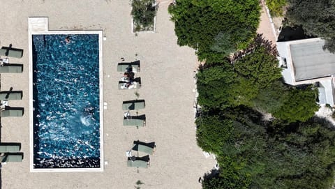 Bird's eye view, Garden, Pool view, Swimming pool