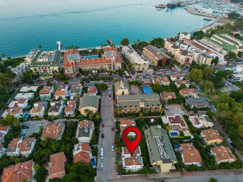 Bird's eye view, Beach, Location